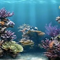 Скачать бесплатно Aquarium для Андроид
